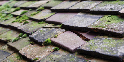 Pontarfynach roof repair costs